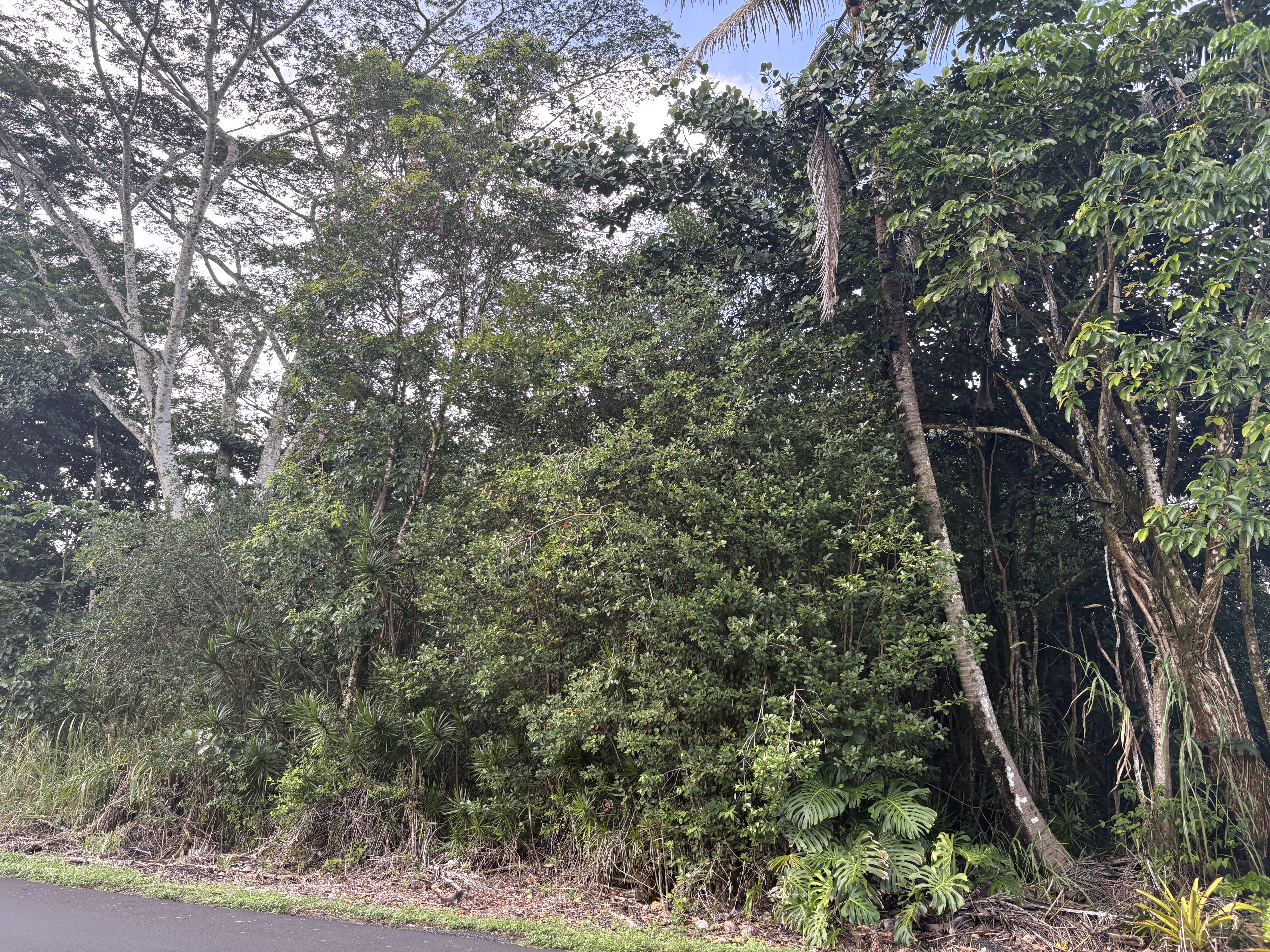 KAHAKAI BLVD
