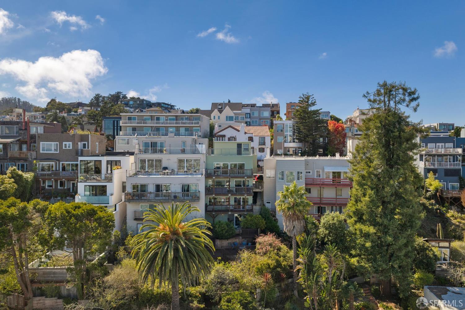 Hillside homes clustered among trees, with a large palm tree in the foreground.
