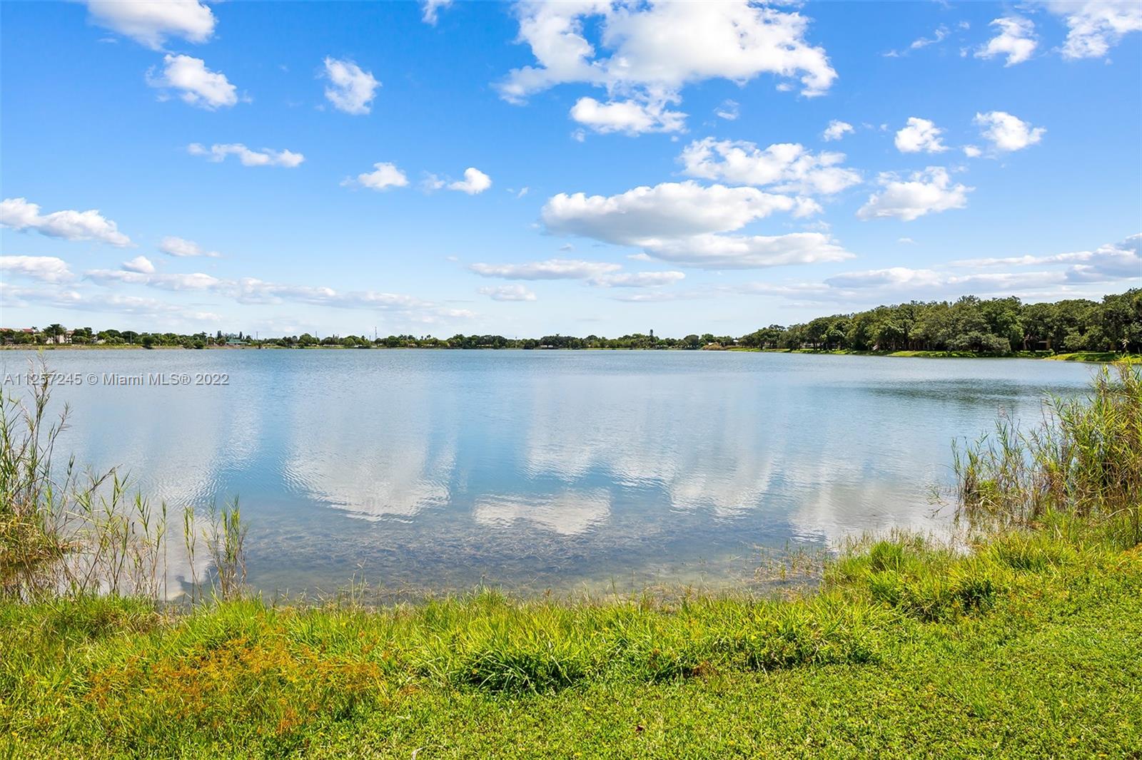 3005 N Oakland Forest Dr Unit: 102