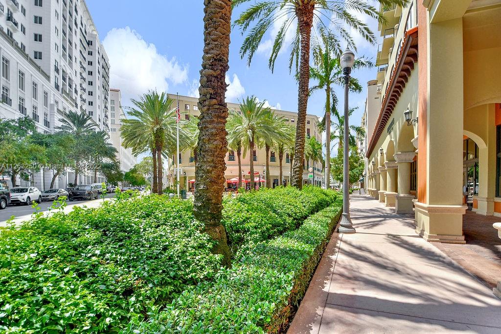 55 Merrick Way Unit: 502