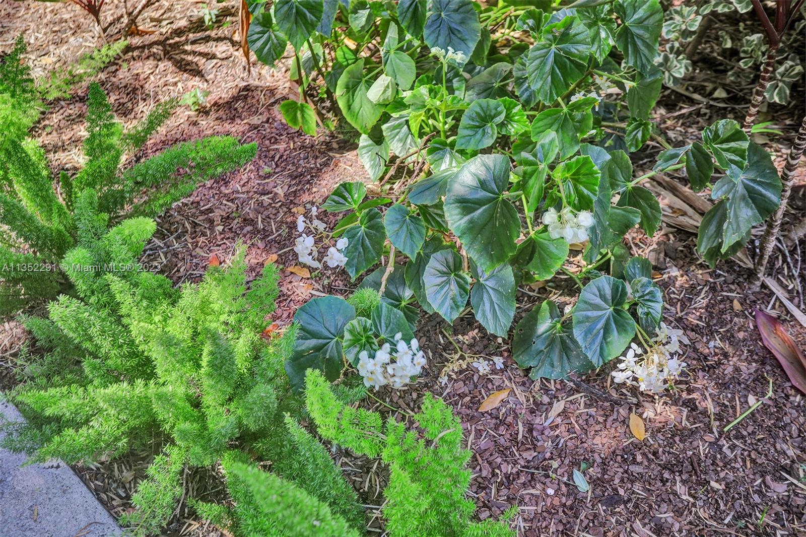 4706 SW 67 Ave Unit: M4