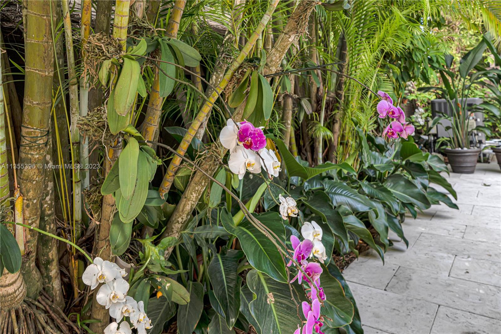 1767 Micanopy Ave Unit: 0