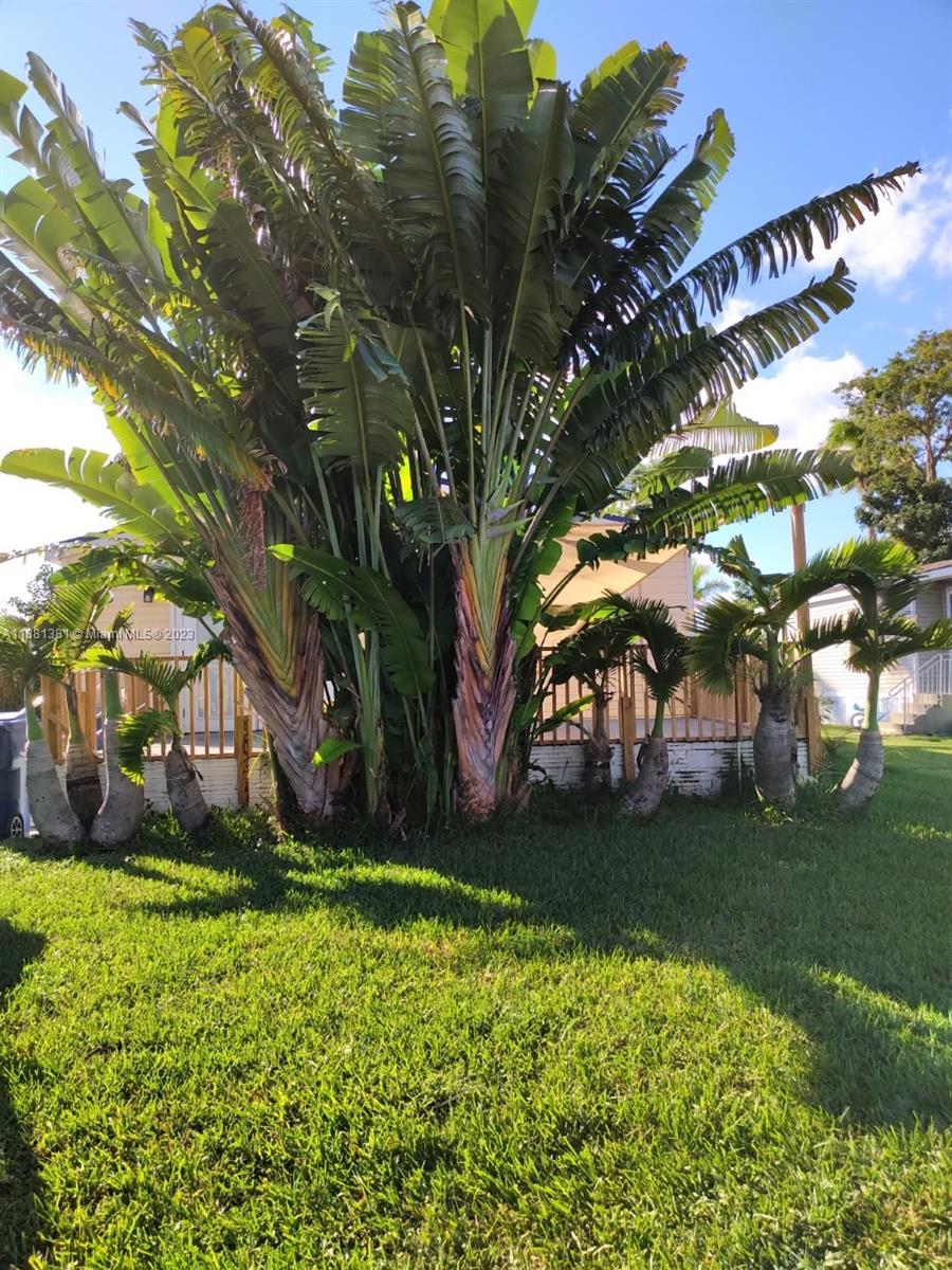35250 SW 177th Ct Unit: 5