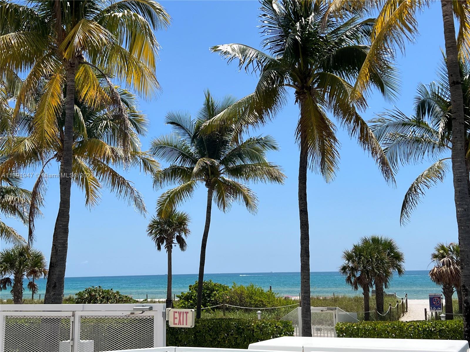 5005 Collins Ave # 1023