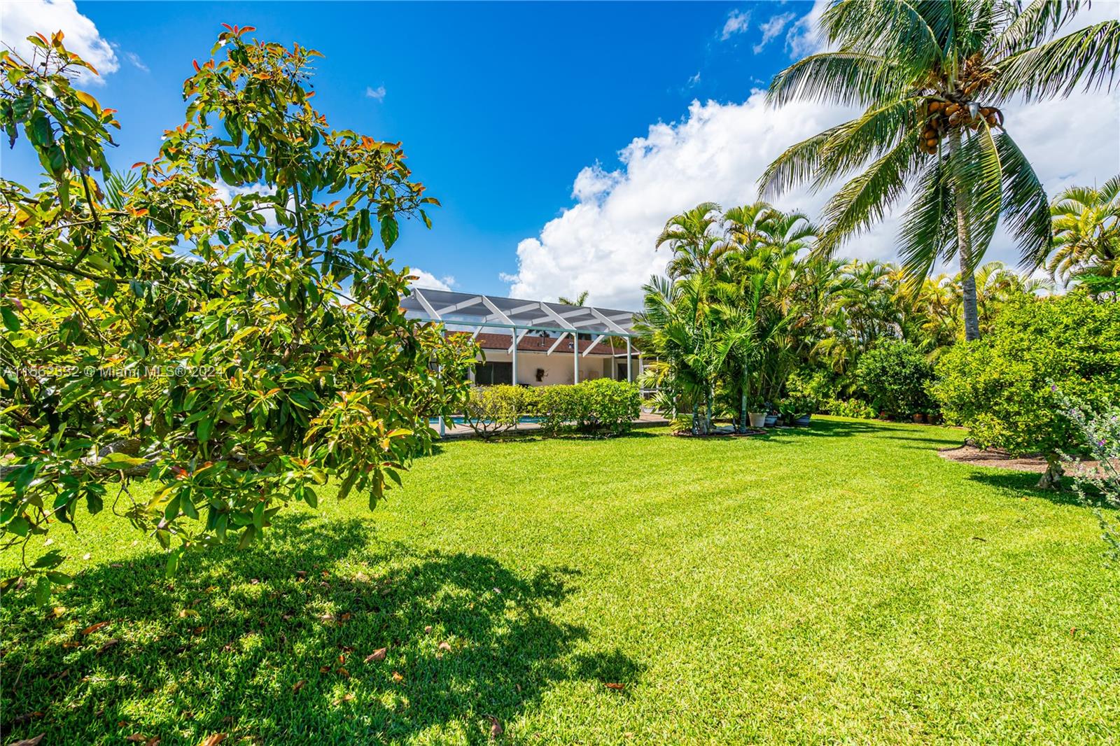 15801 Palmetto Club Dr