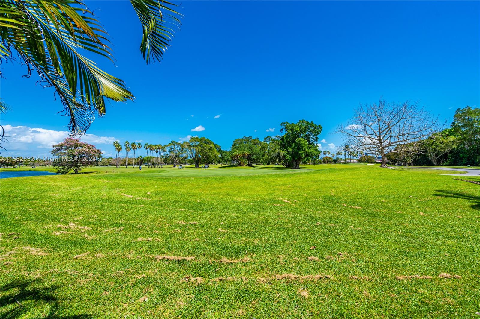 15801 Palmetto Club Dr