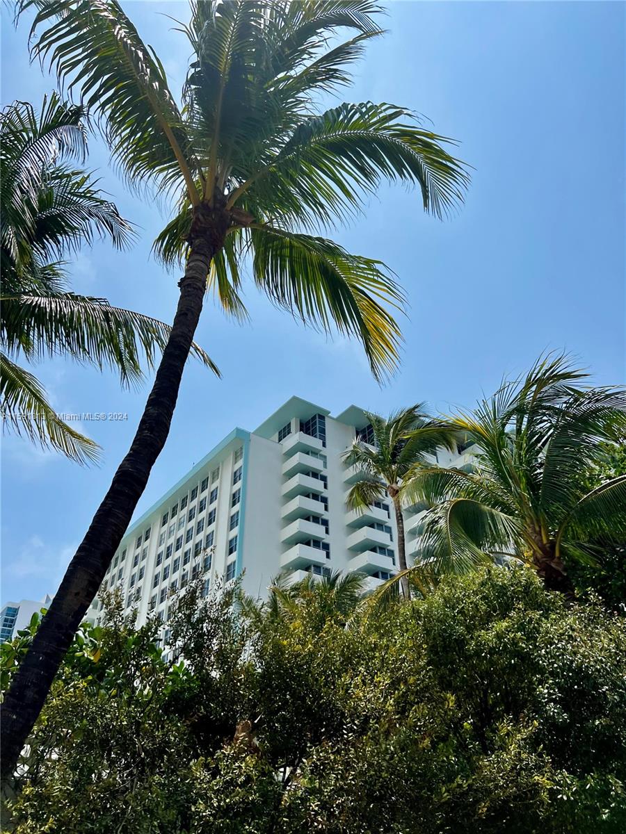 2899 Collins Ave # 602