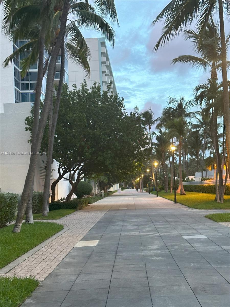 2655 Collins Ave # 1204