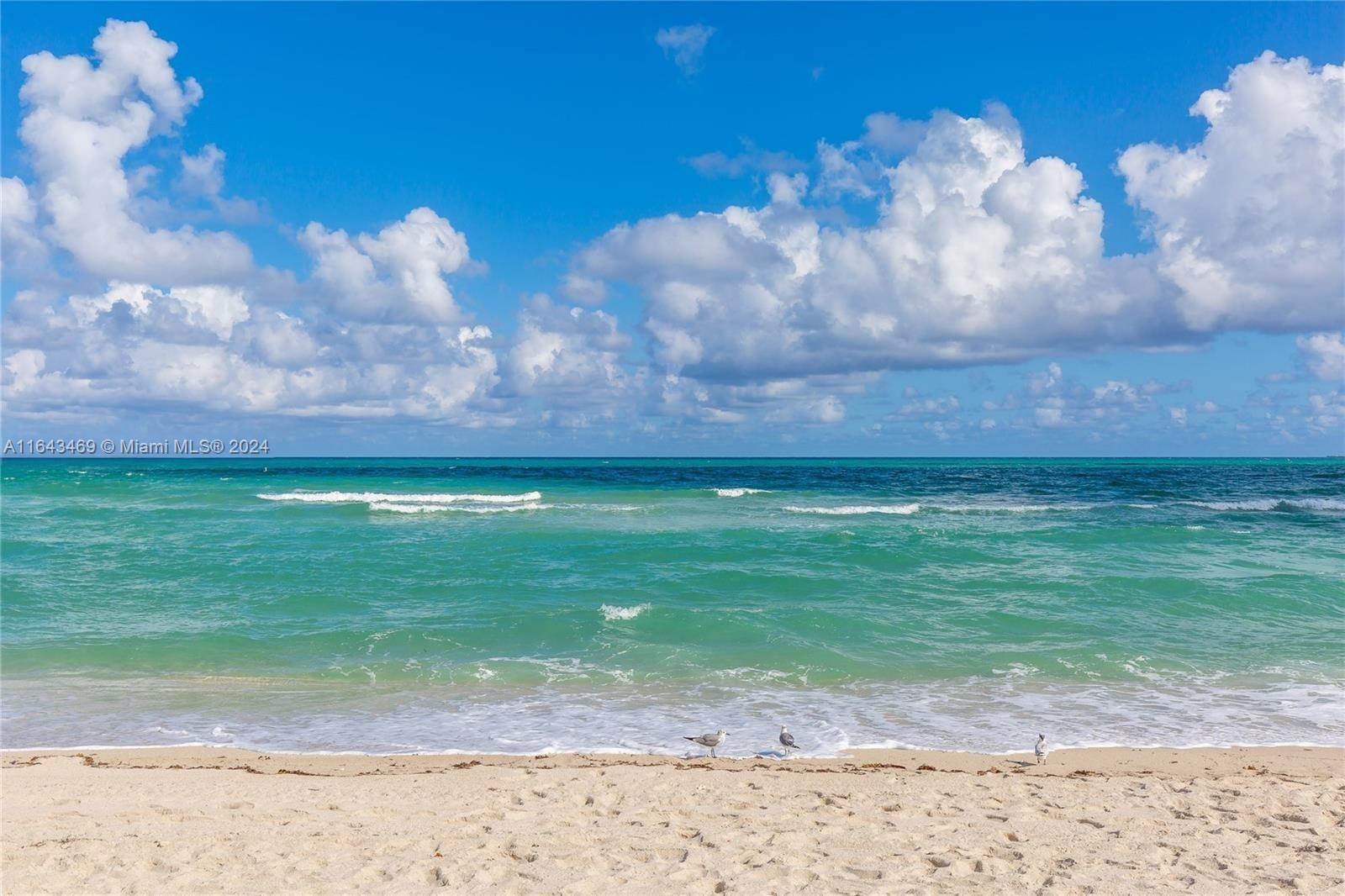 7135 Collins Ave # 1421