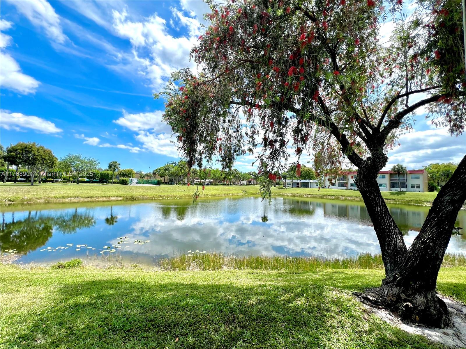 338 Lake Evelyn Dr