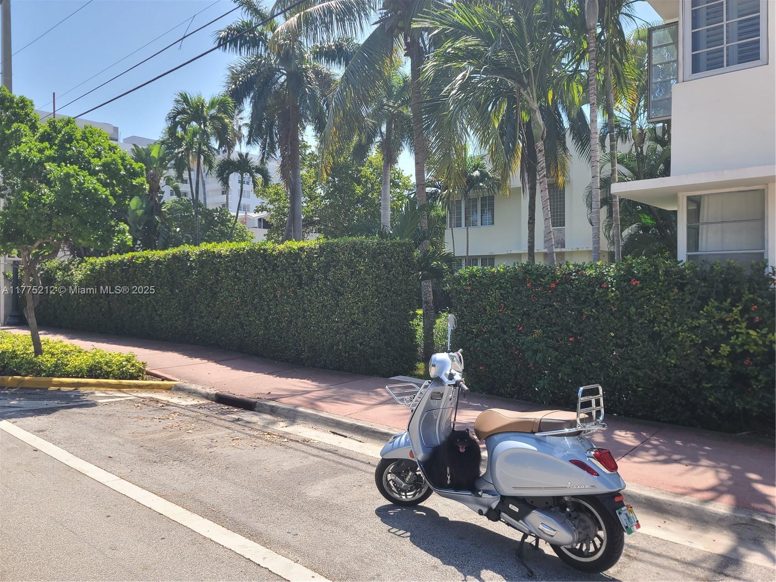 1052 Jefferson Ave # 6