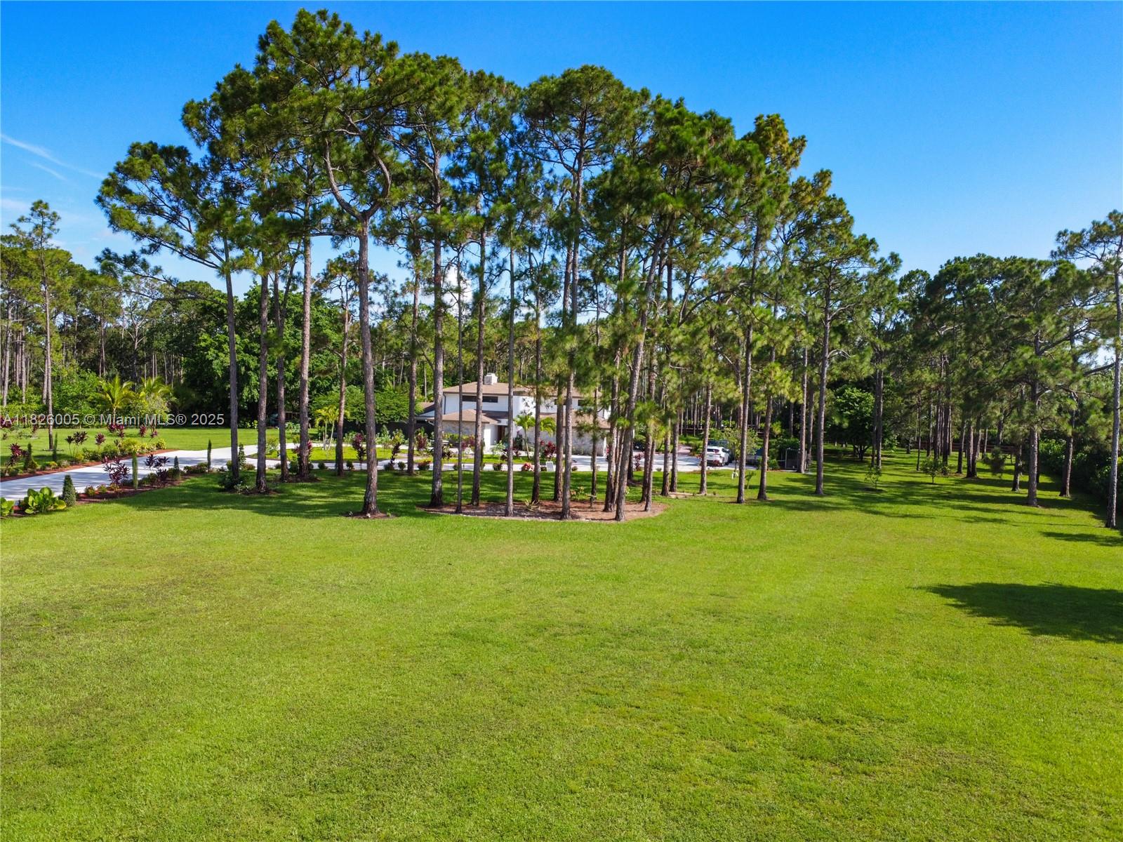 14645 Black Bear Rd