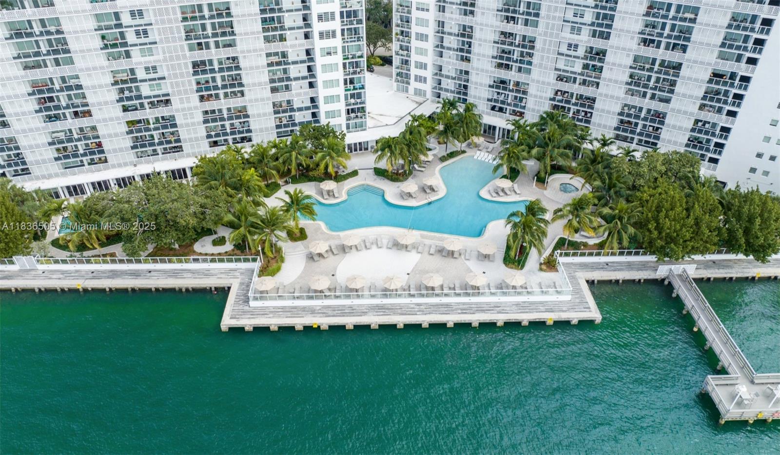 910 West Ave # 1135