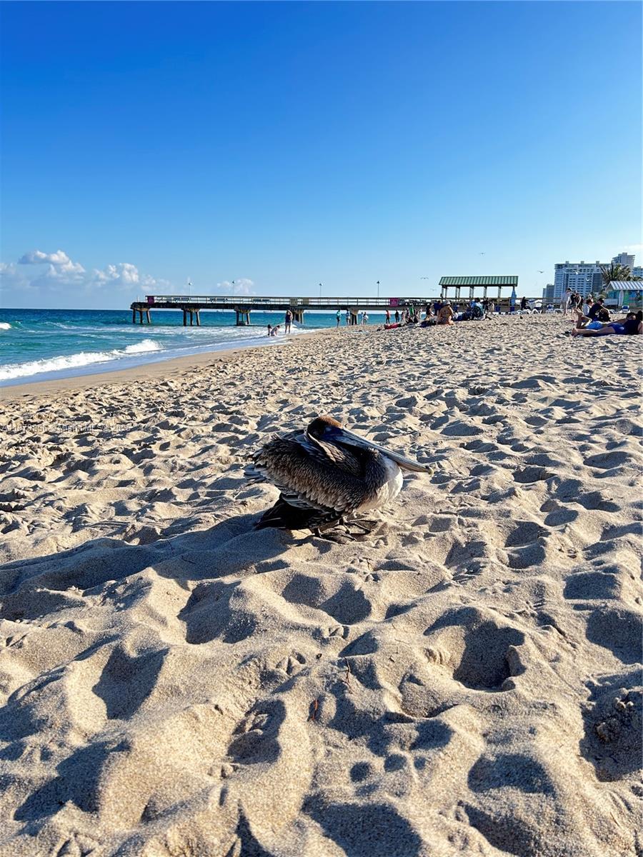 4143 N Ocean Blvd # 307
