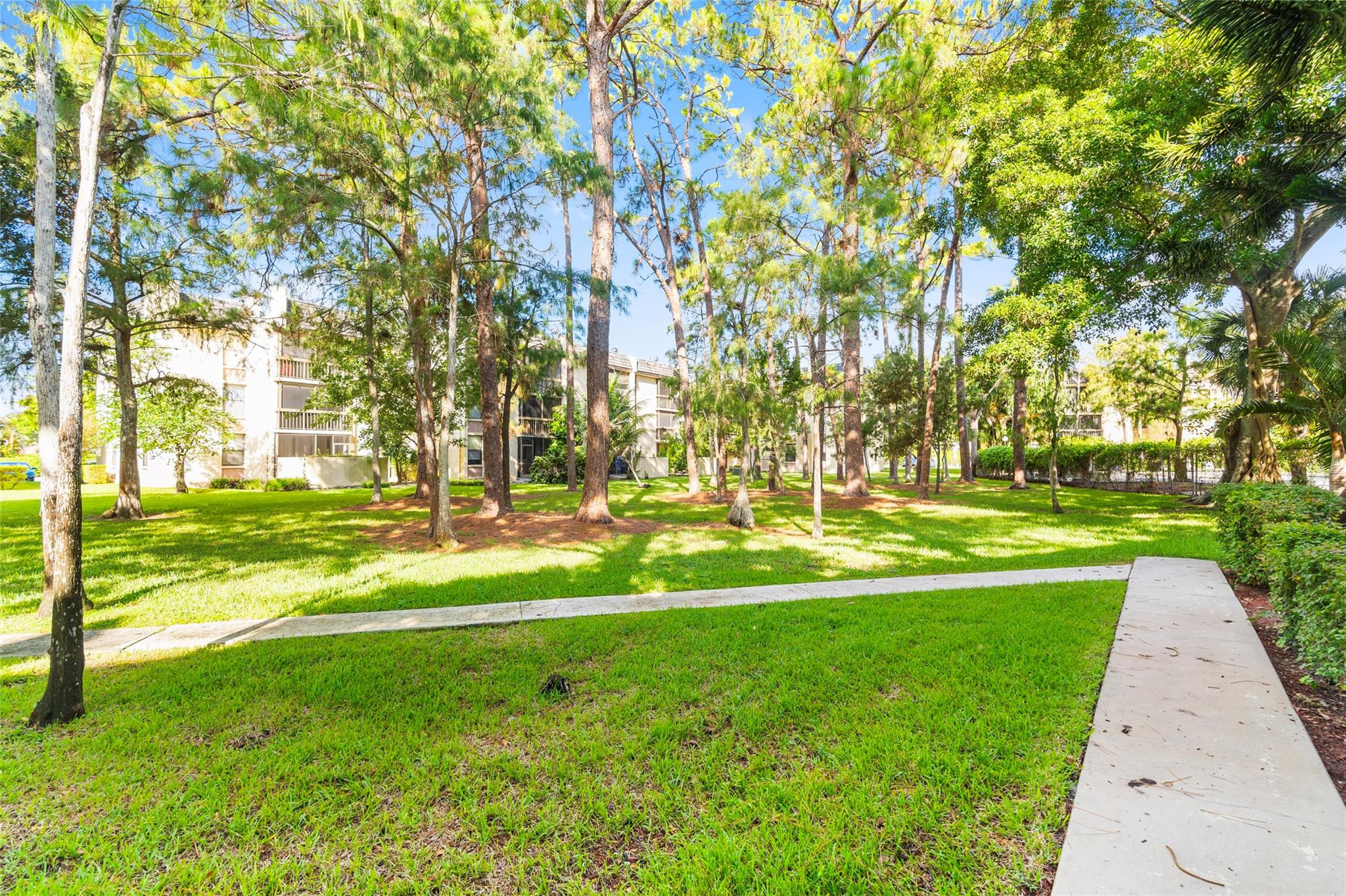 8421 Forest Hills Drive 303