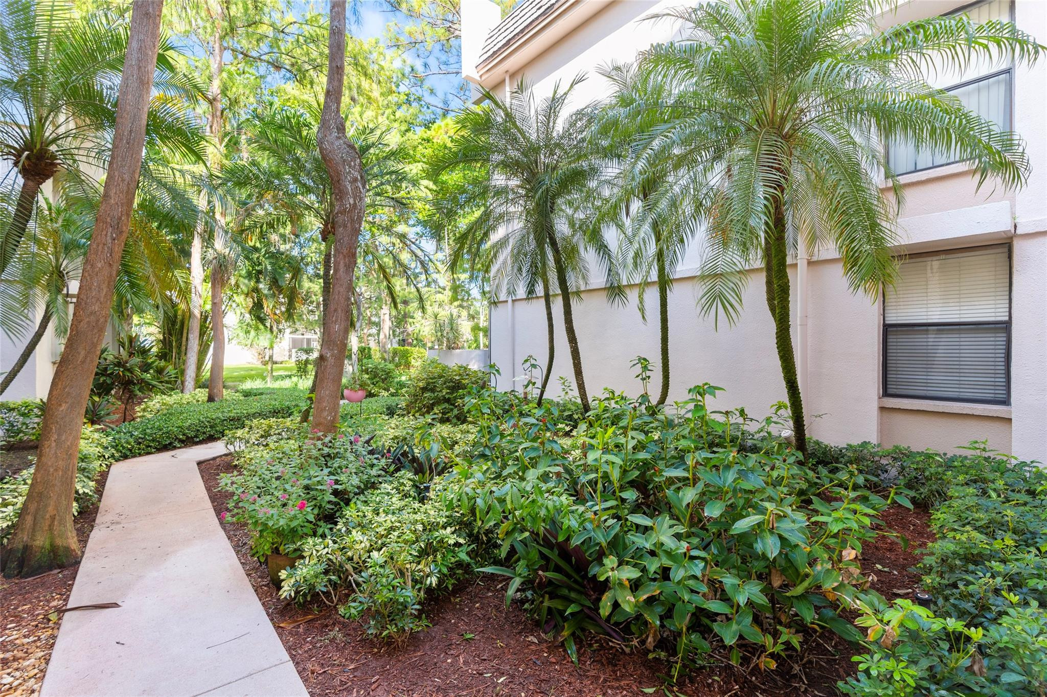 8421 Forest Hills Drive 303