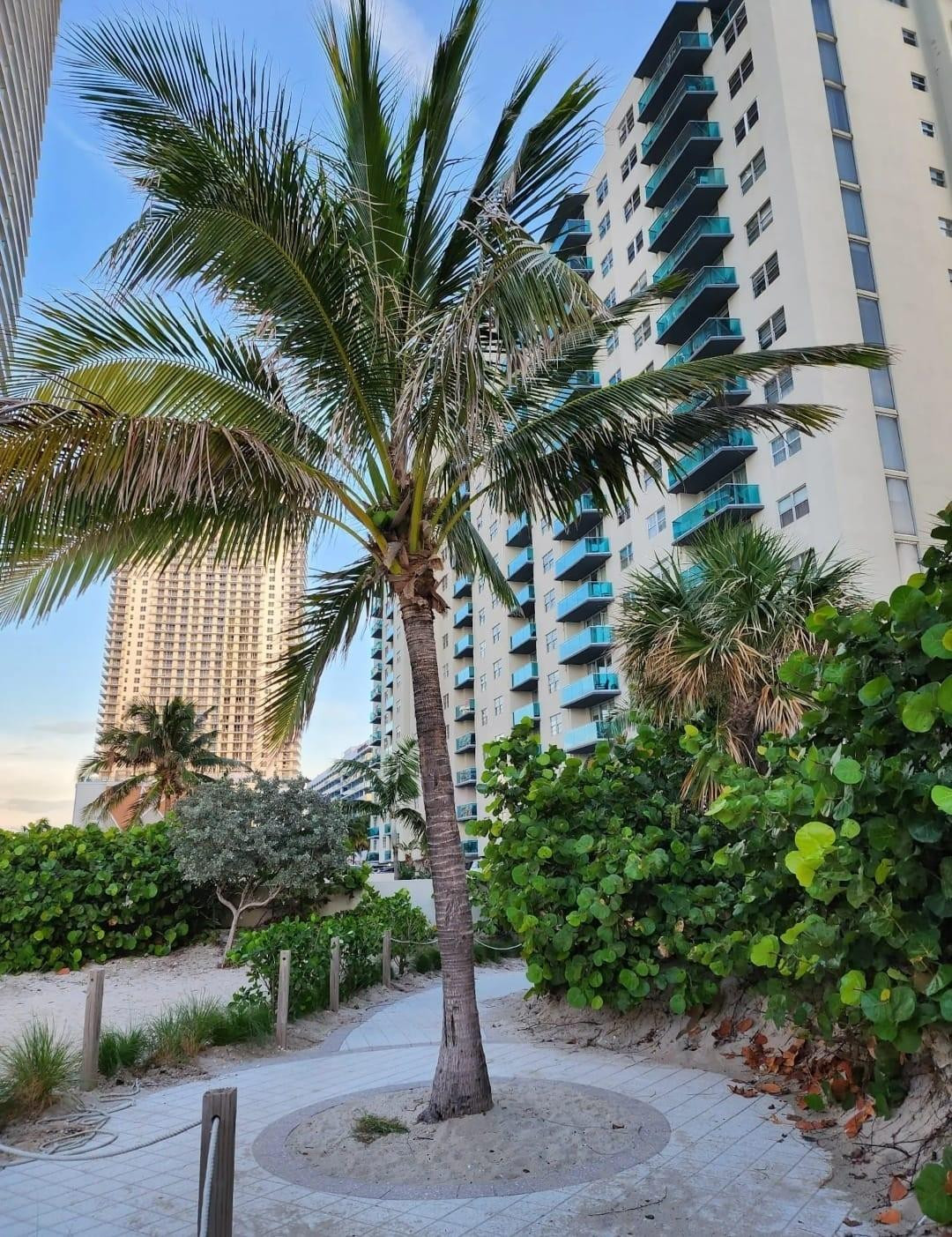 4001 S Ocean Drive 14g