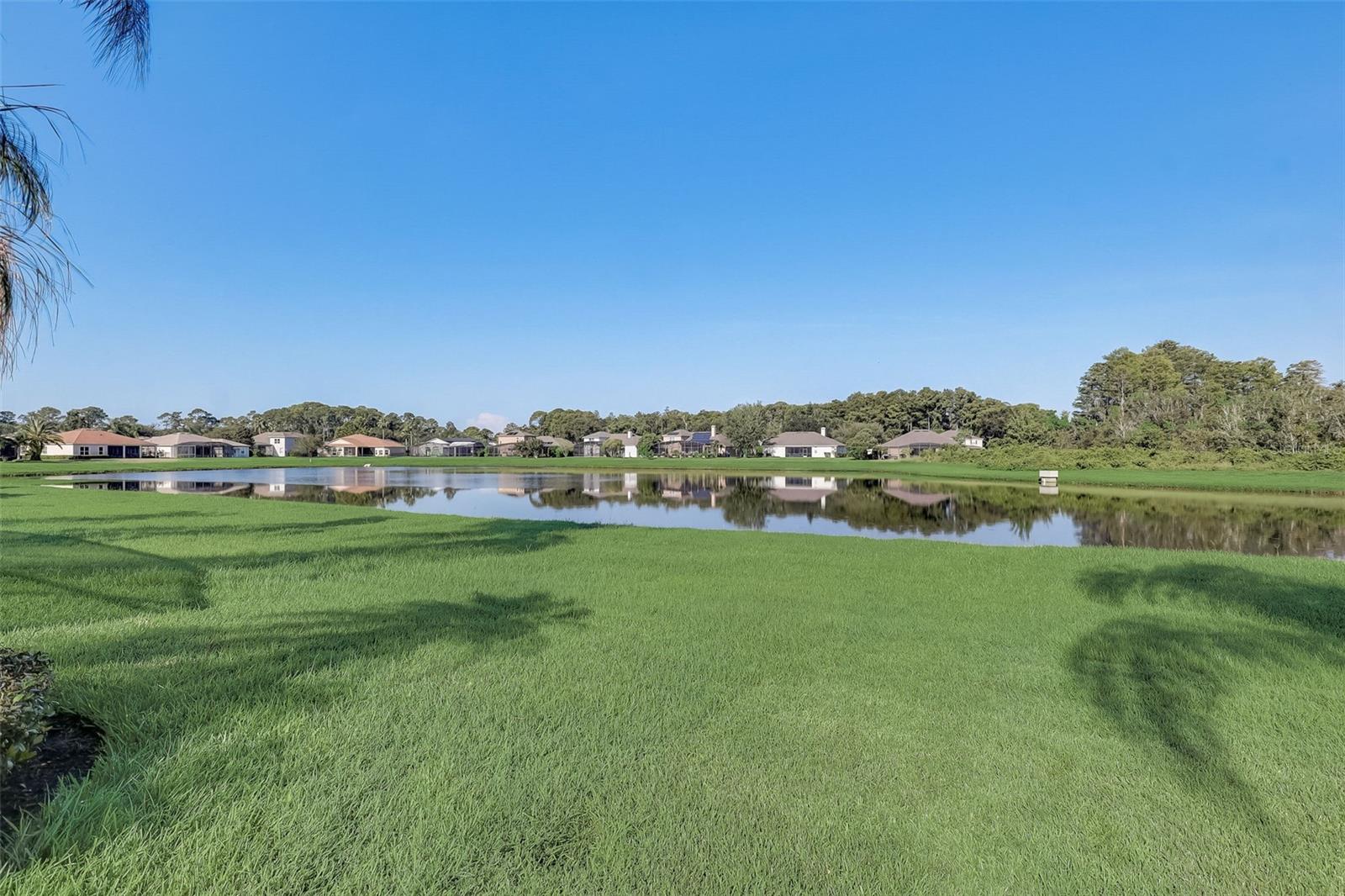 2320 WINTERMERE POINTE DR