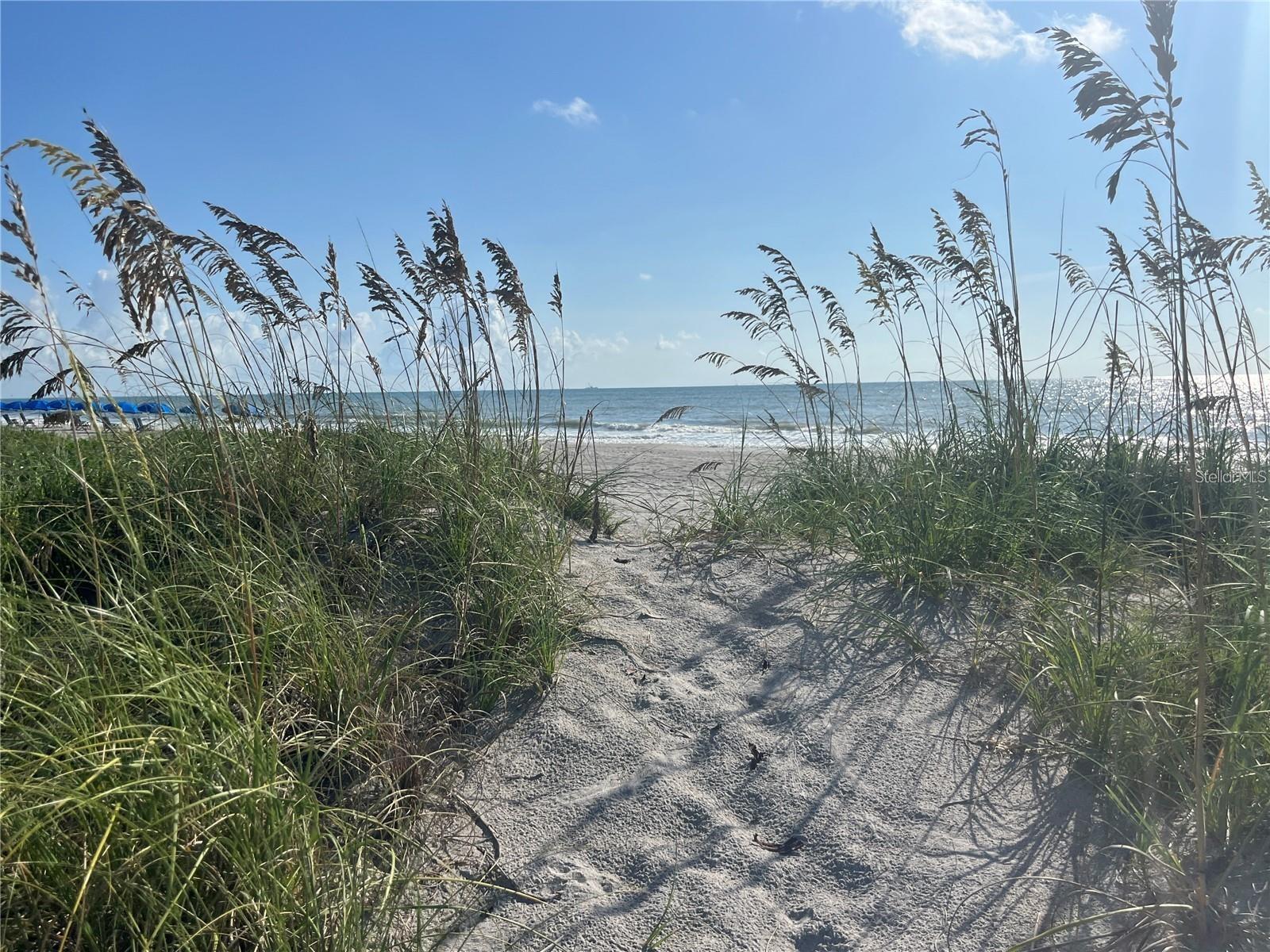 2020 N ATLANTIC AVE #207S