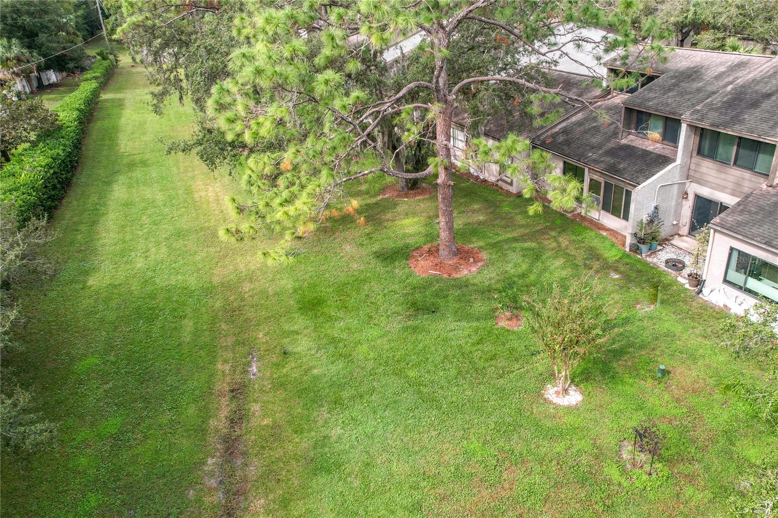615 WOODRIDGE DR
