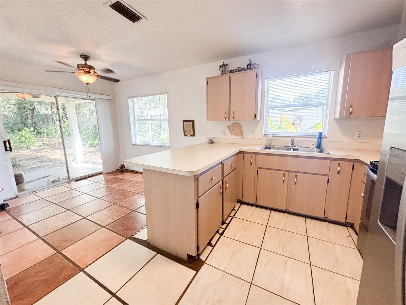 319 W LADY LAKE BLVD