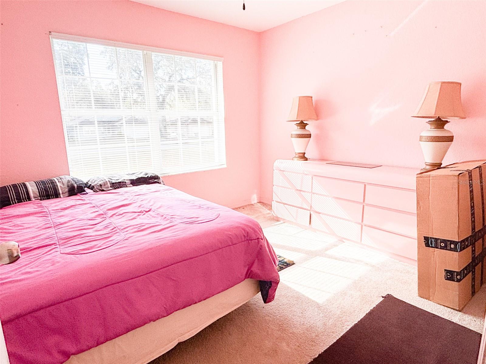 319 W LADY LAKE BLVD