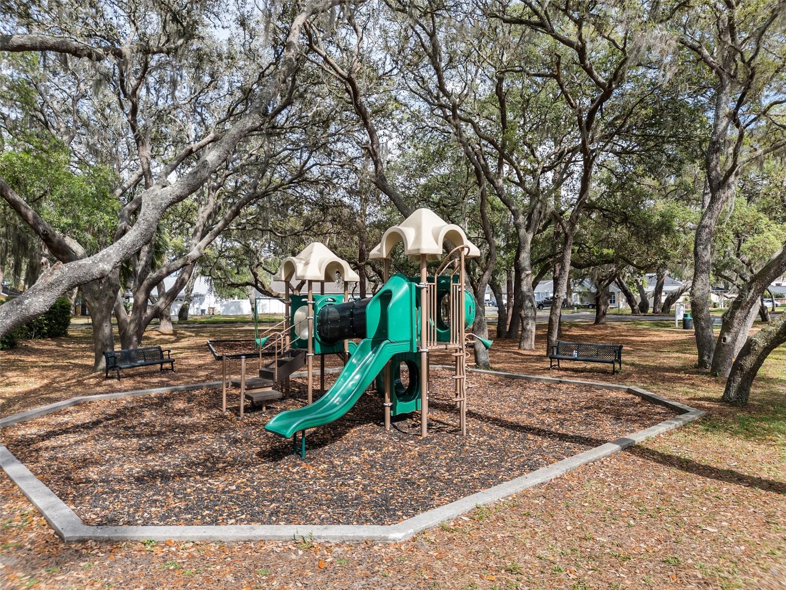 1631 OAK HILL TRL