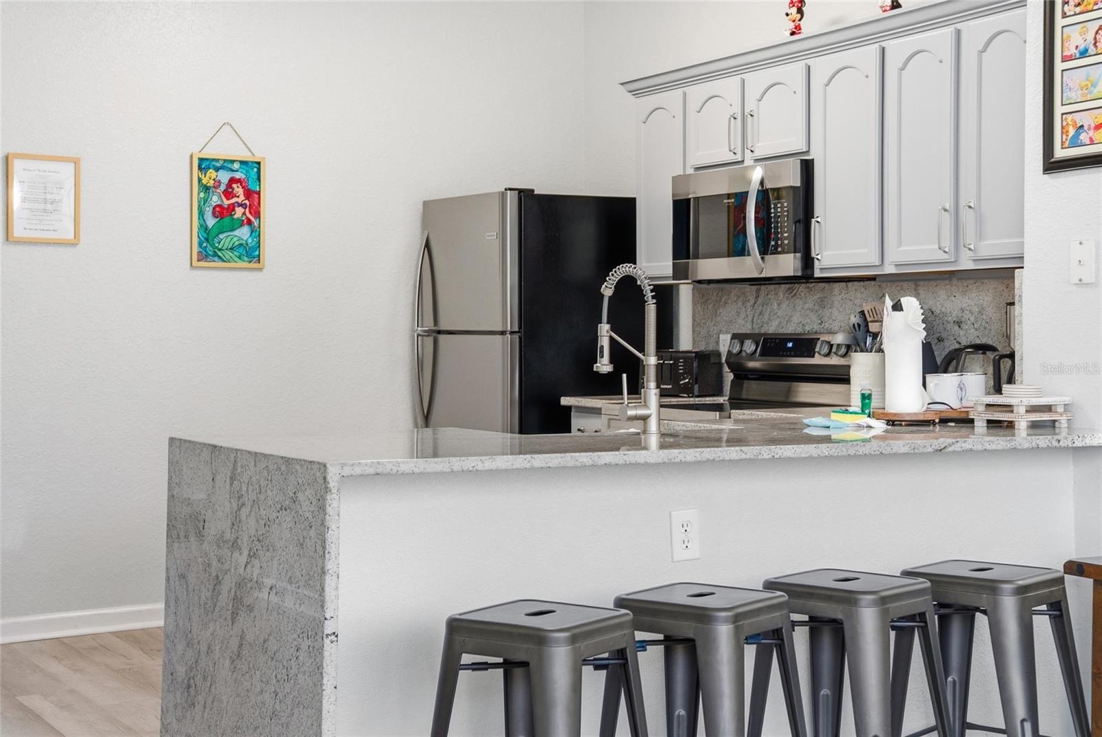 7678 SIR KAUFMANN CT