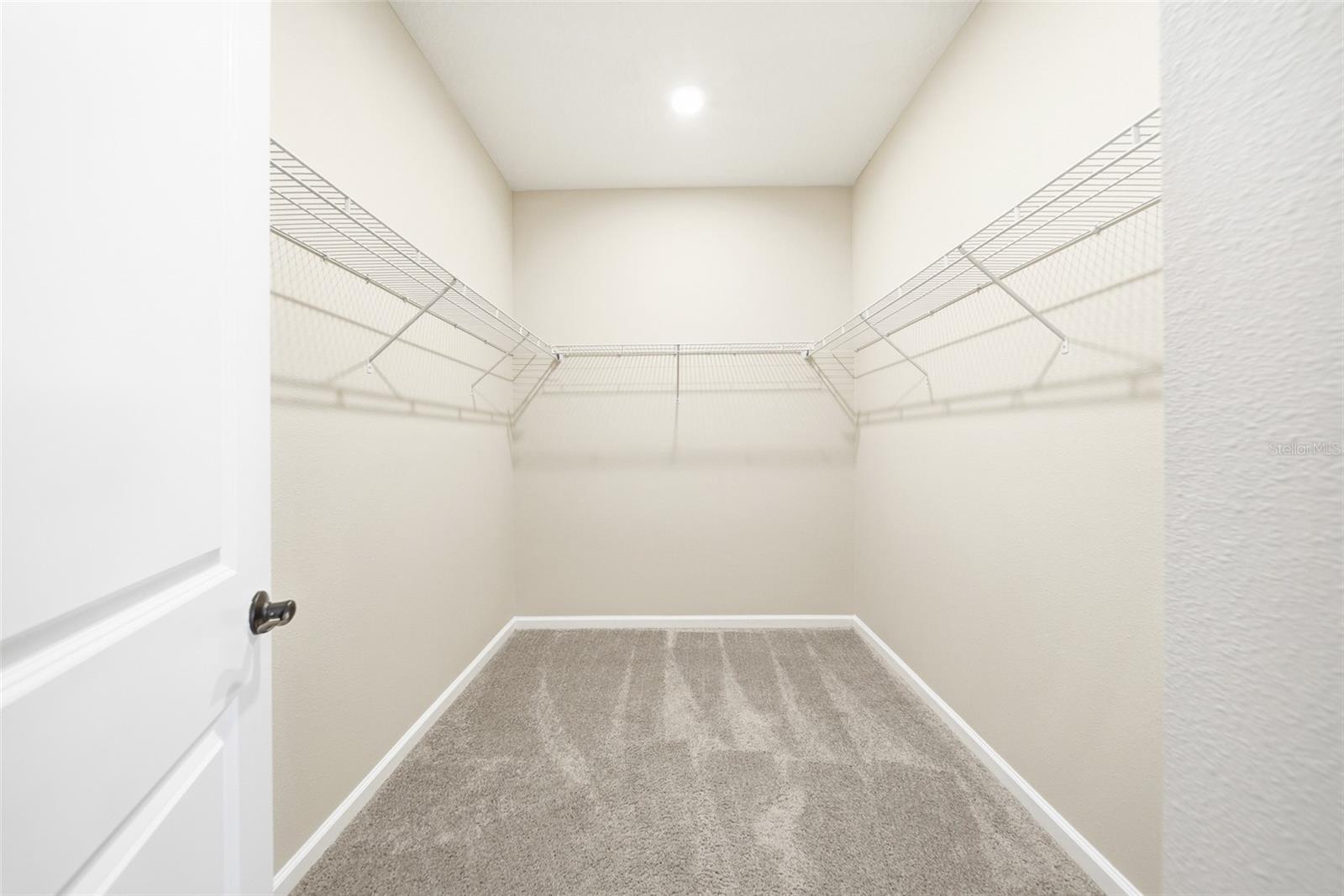 253 HILLTOP BLOOM LOOP