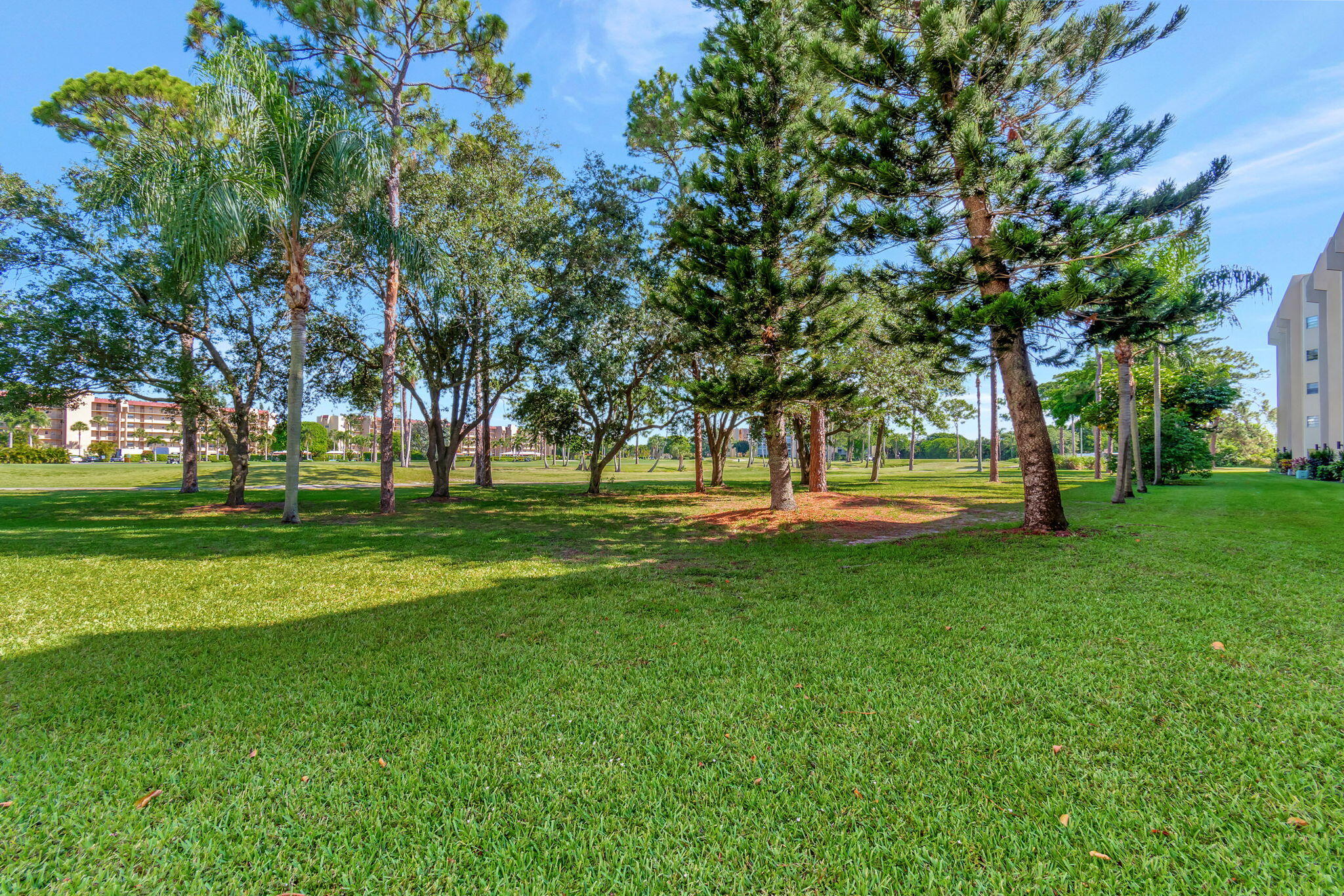 3810 Via Poinciana 502
