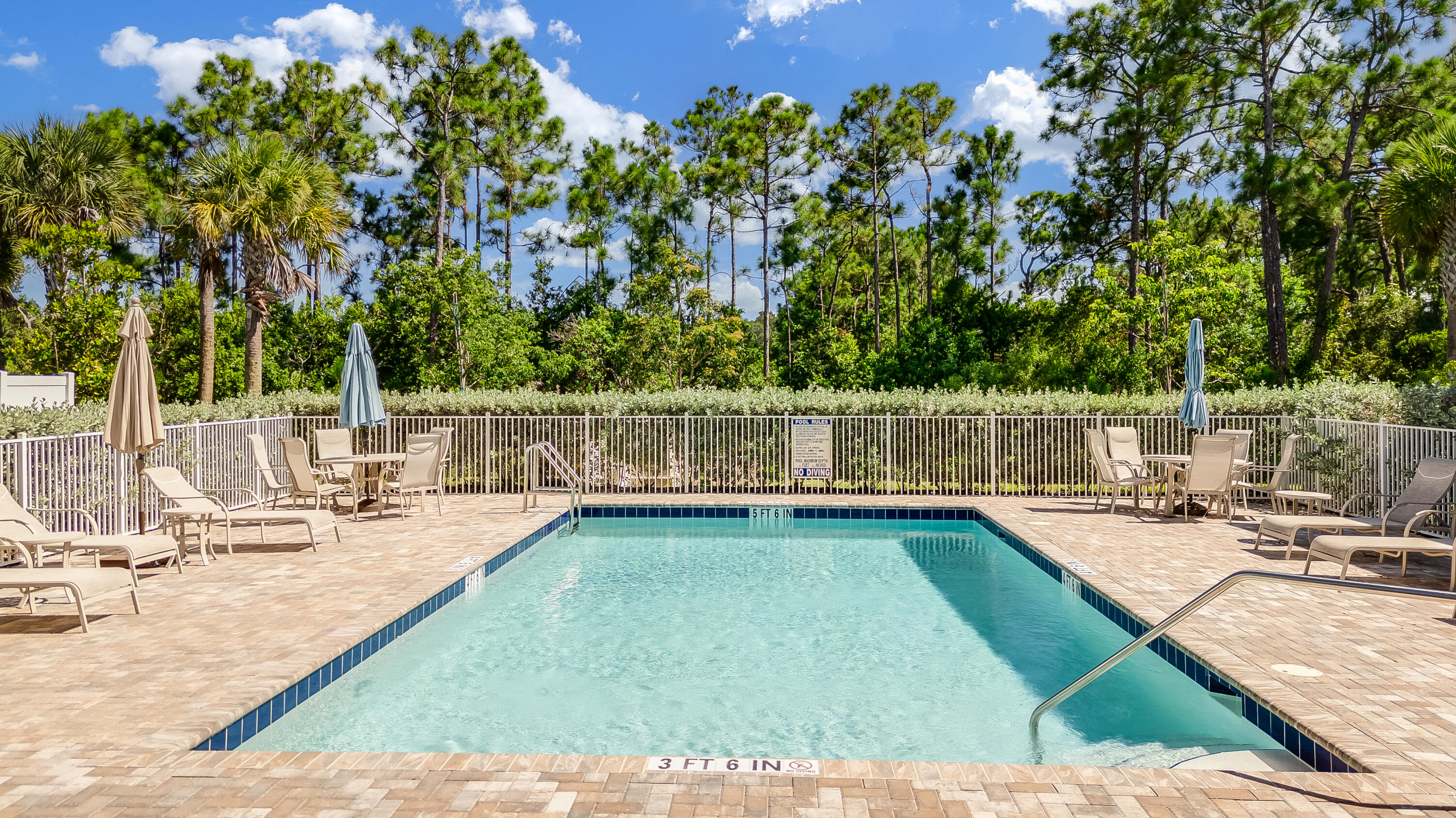 241 Preserve Trail N