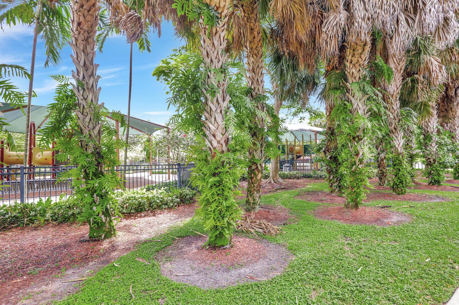 4115 Carriage Drive # P4