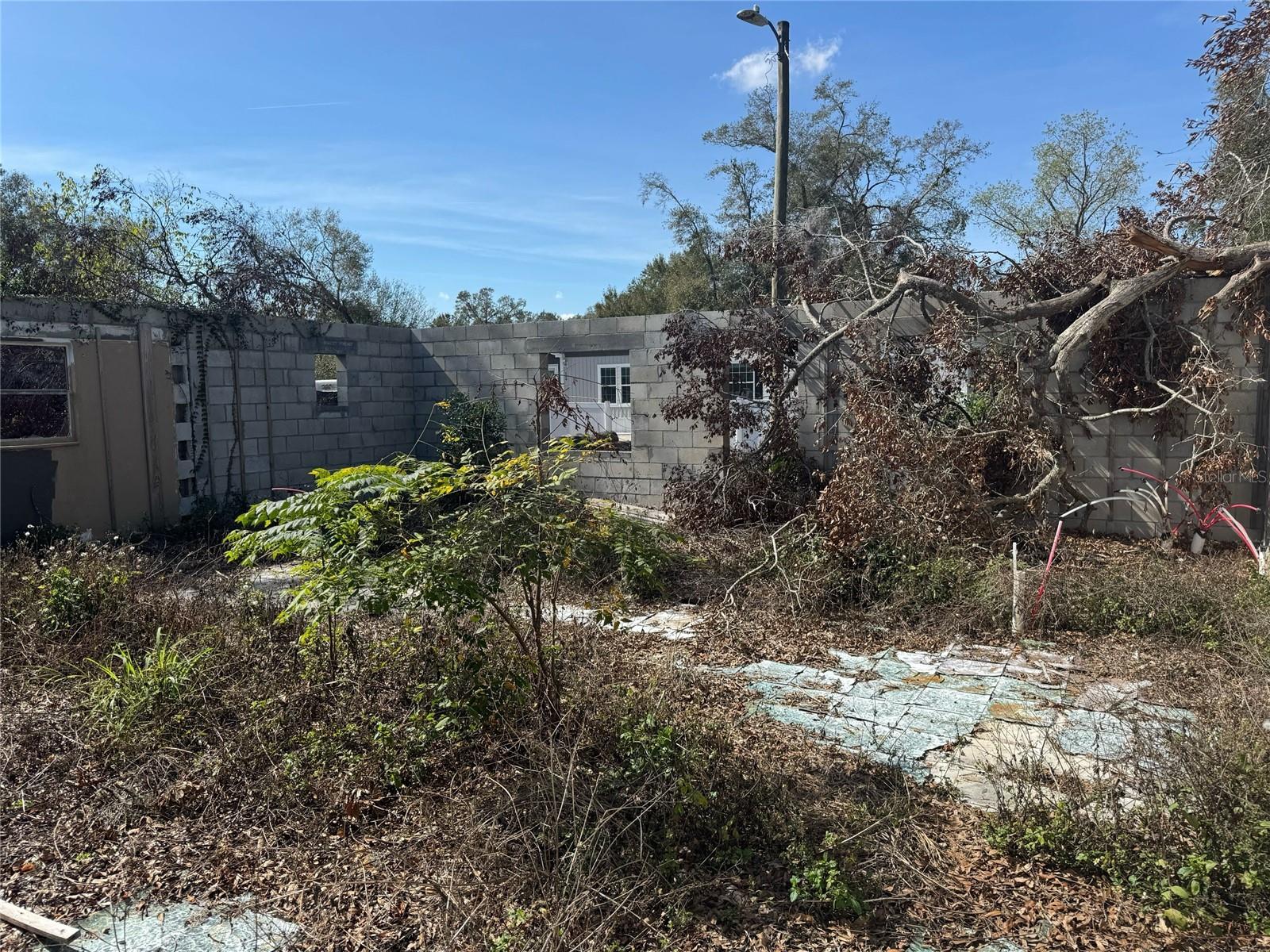 342 LETTIE LN