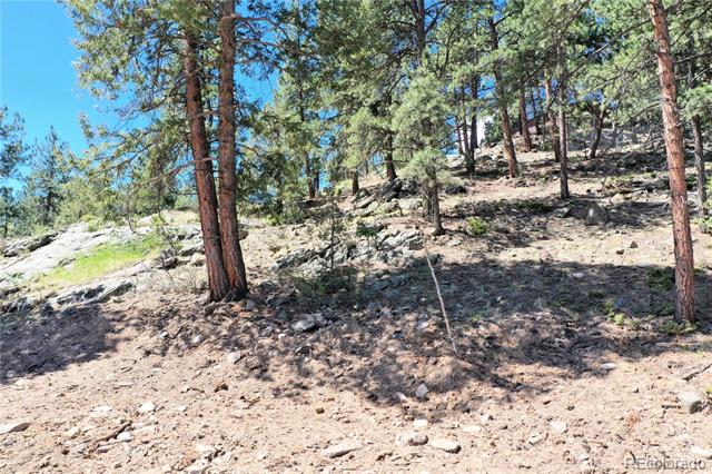 325 Bob Cat Trail