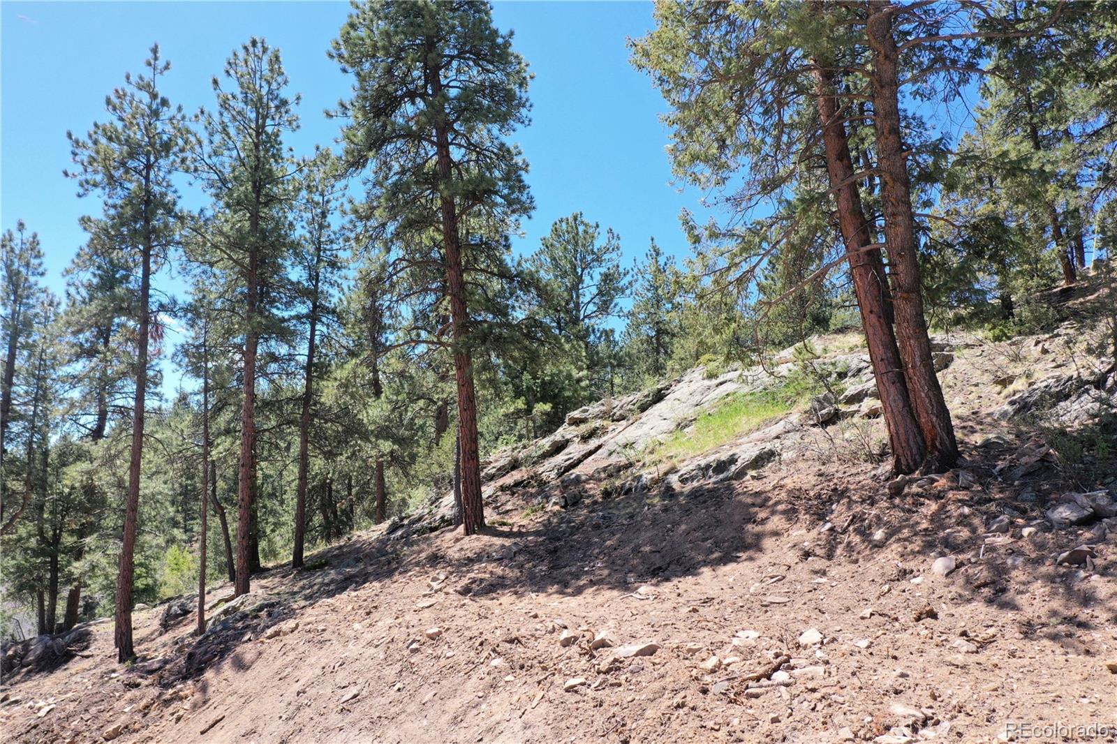 325 Bob Cat Trail