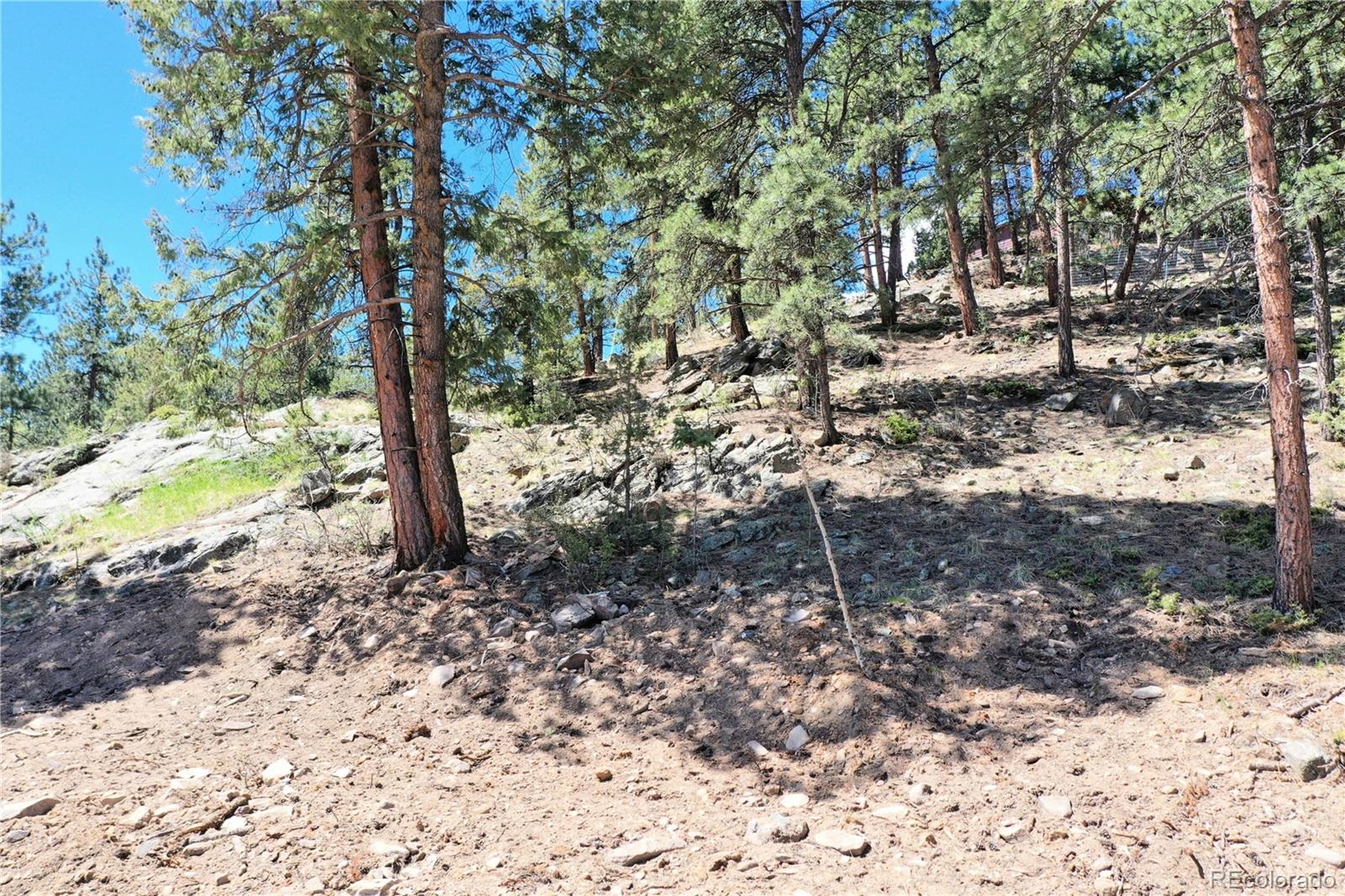 325 Bob Cat Trail