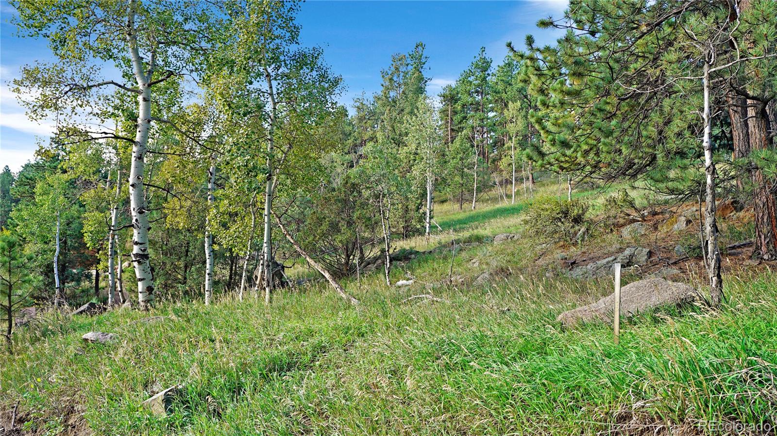Bob Cat Trail