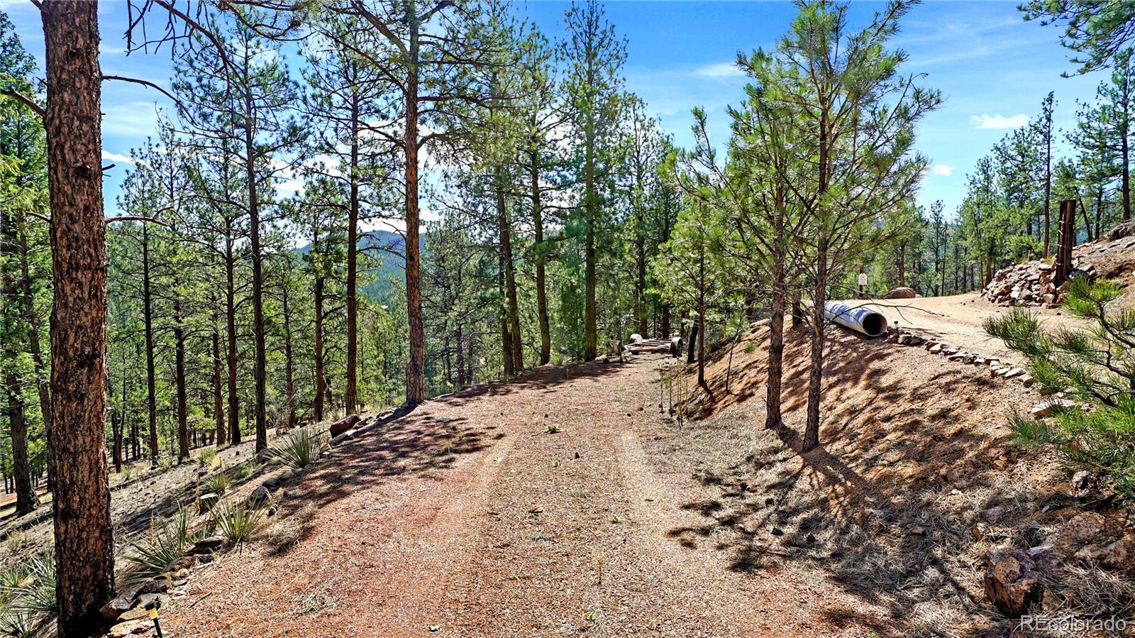 16536 Ouray Road W