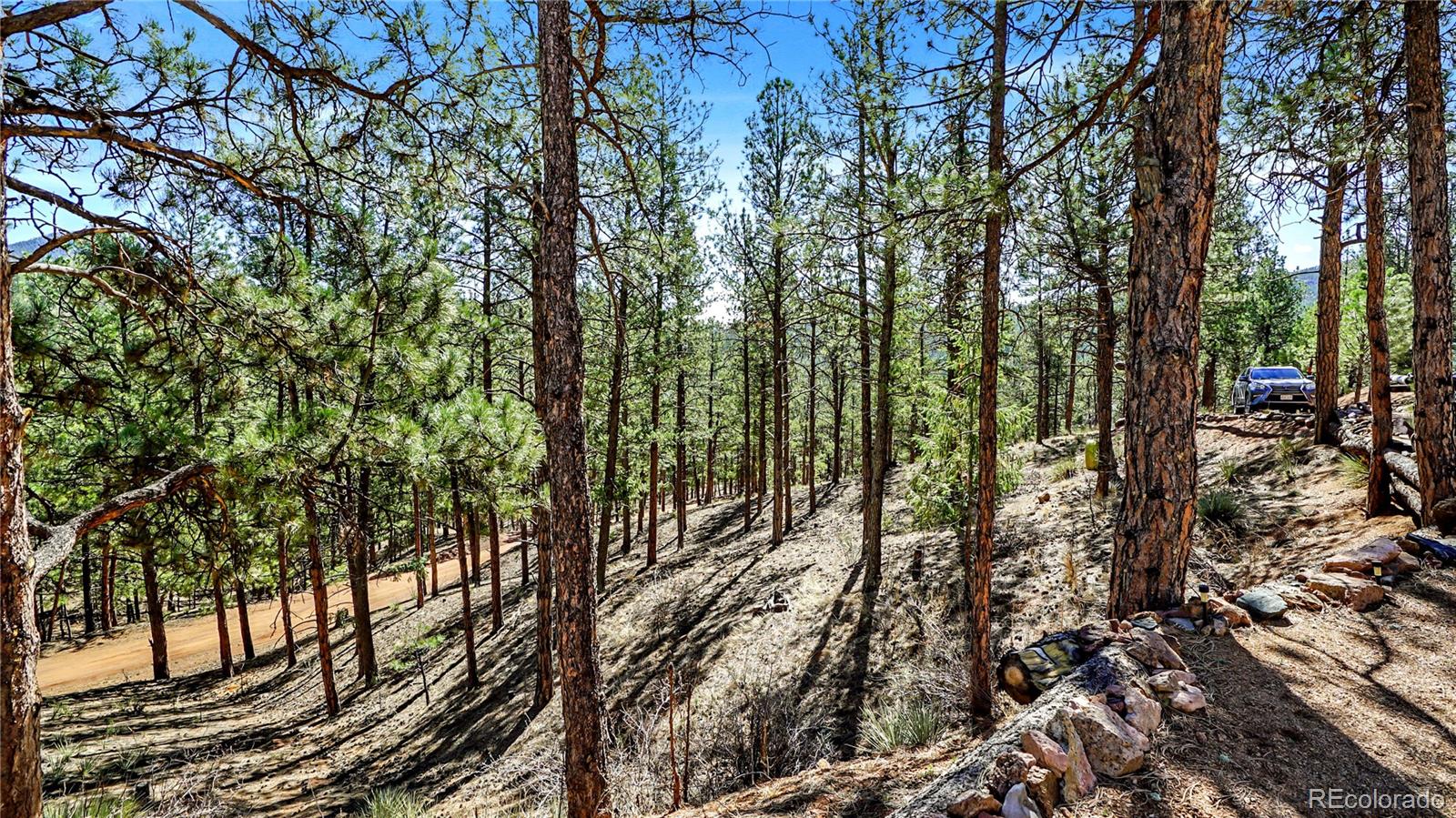 16536 Ouray Road W