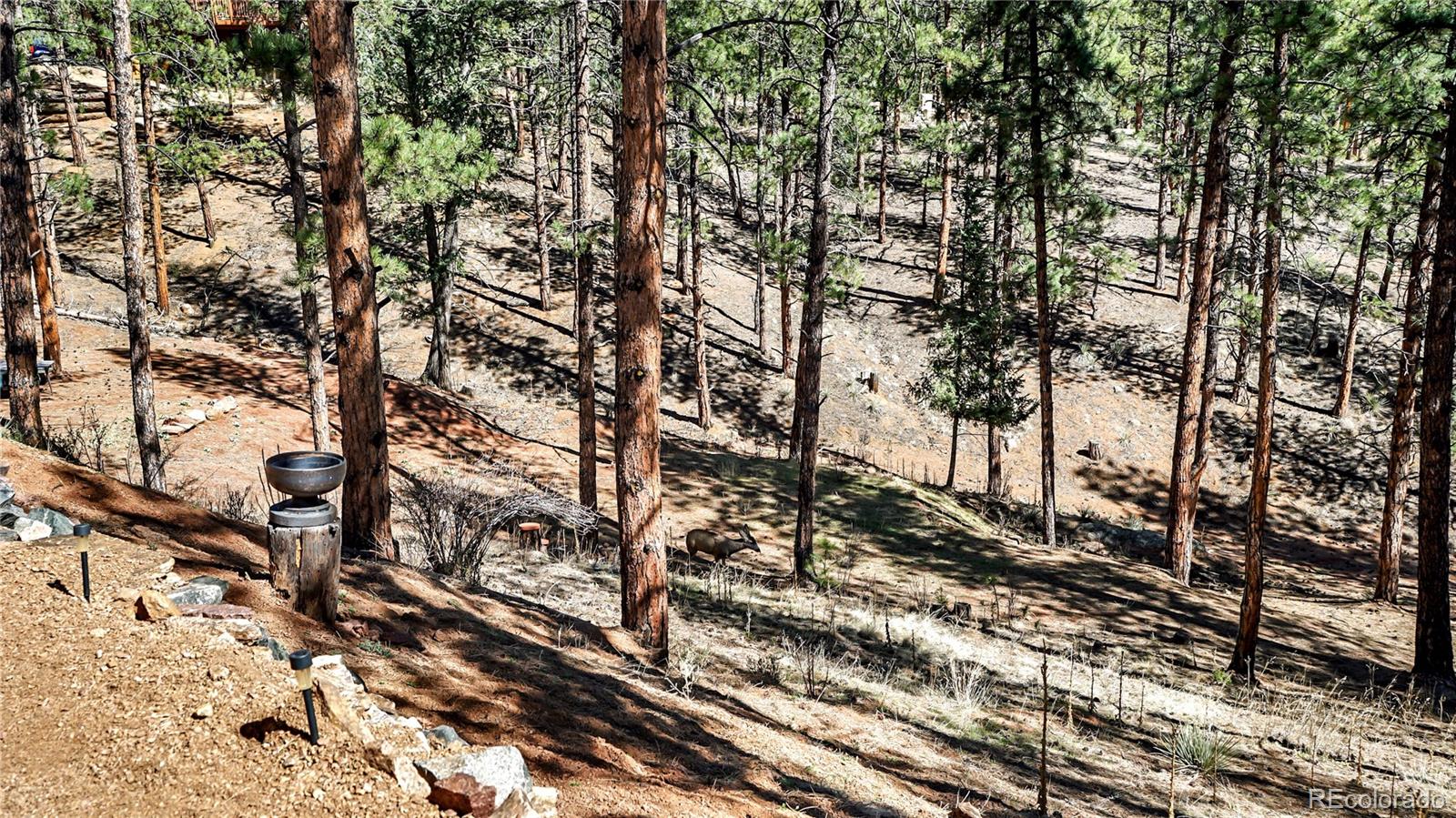 16536 Ouray Road W