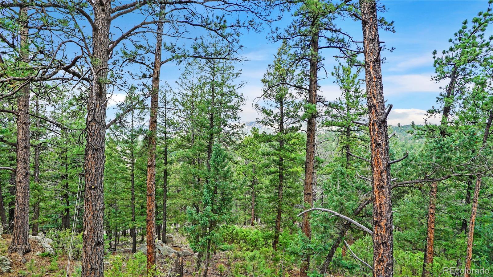 15071 S Delta Lane