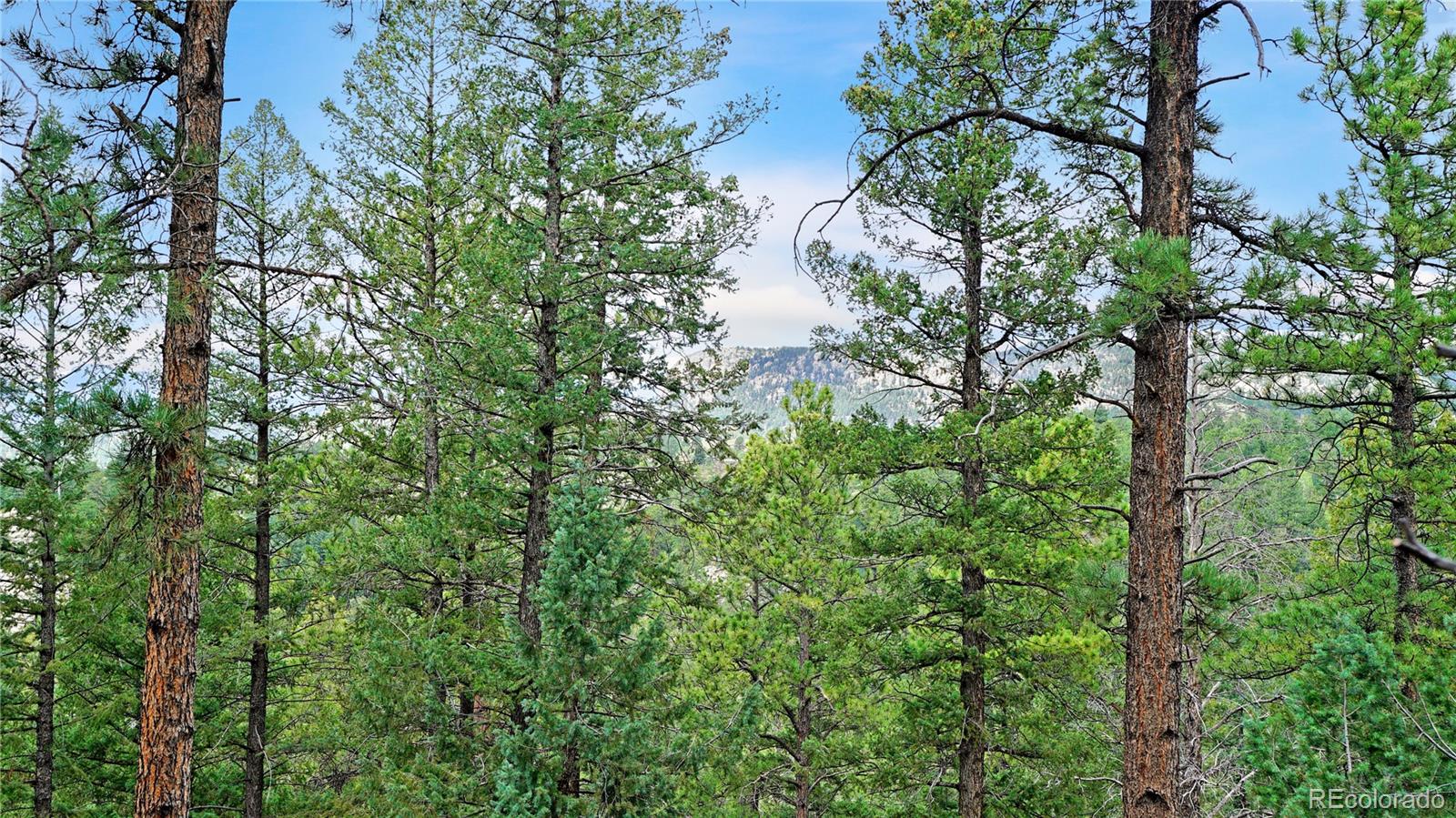 15071 S Delta Lane