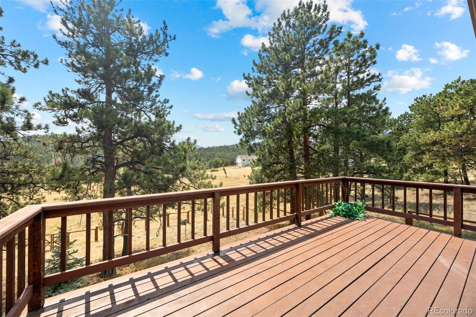 924 Bluebird Drive