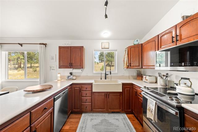 924 Bluebird Drive