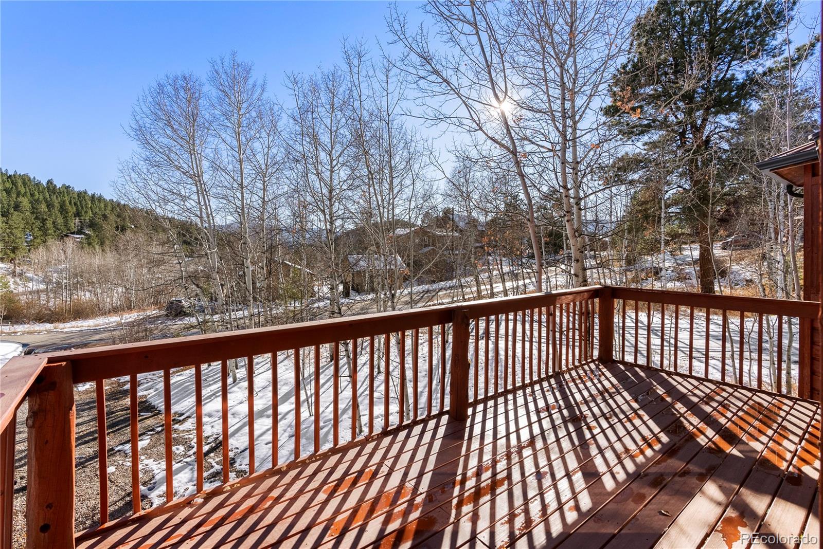 81 Silver Springs Road