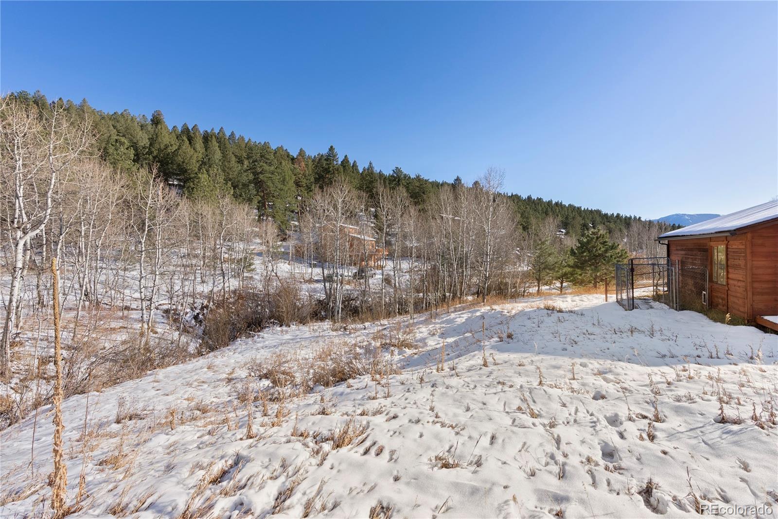 81 Silver Springs Road