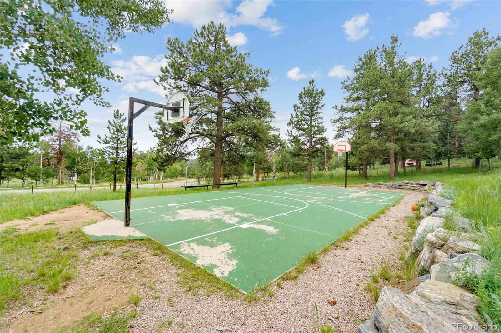 302 Conifer Drive