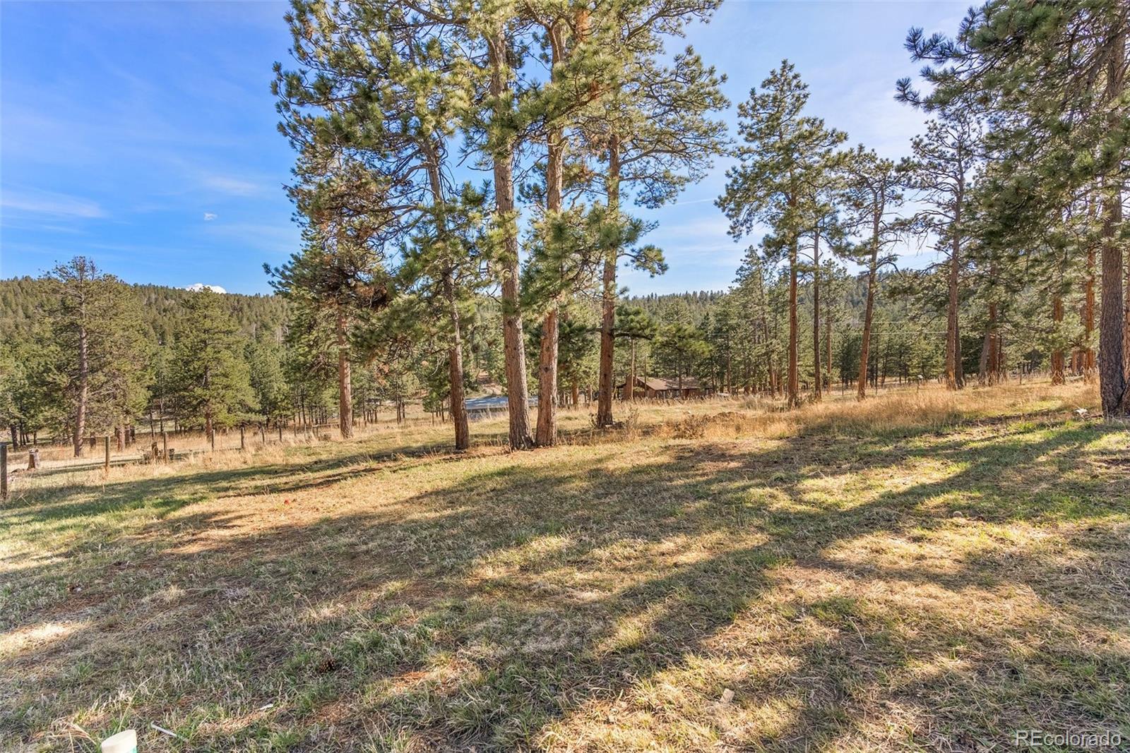 302 Conifer Drive