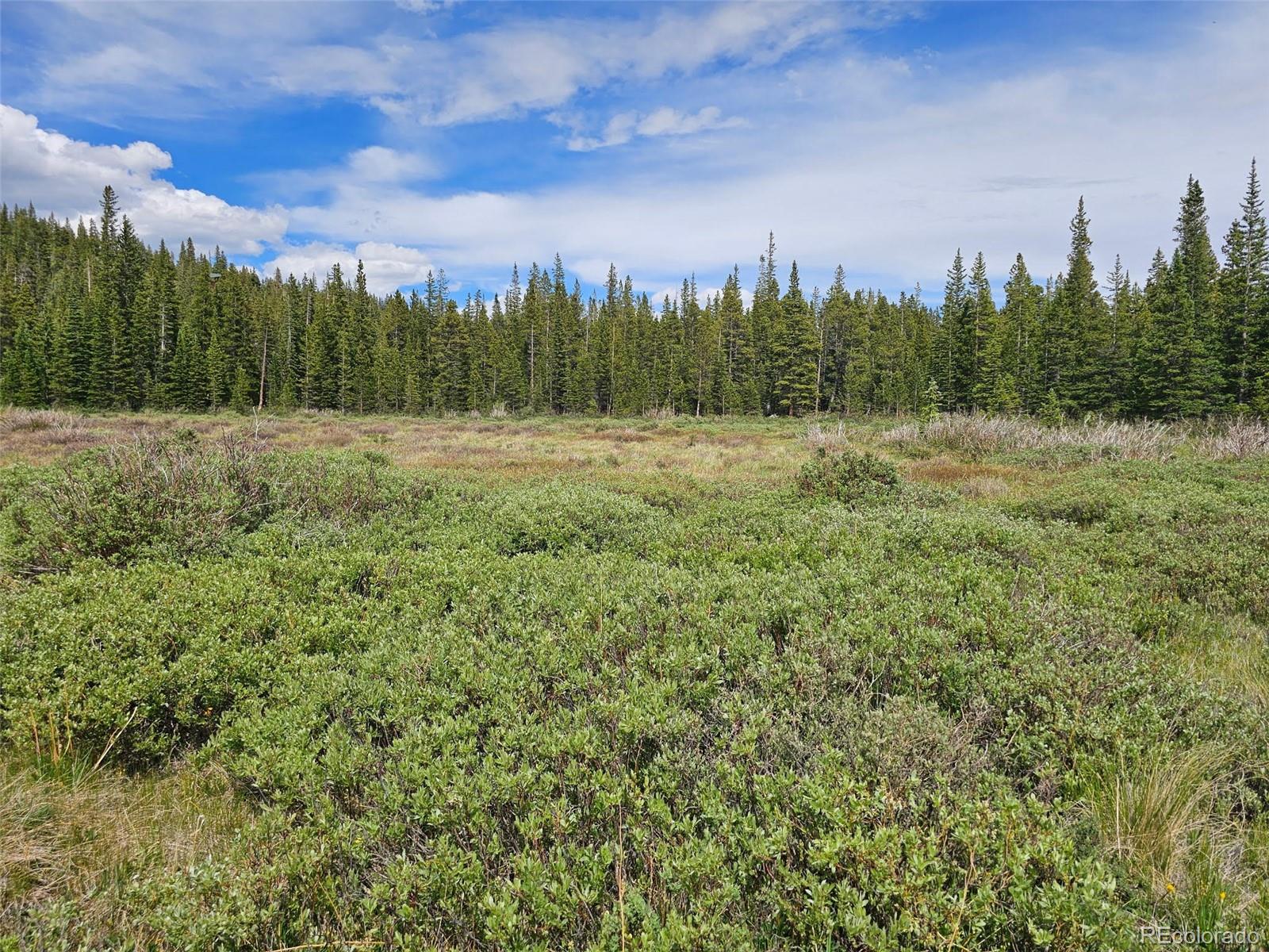 316 Gold Trail