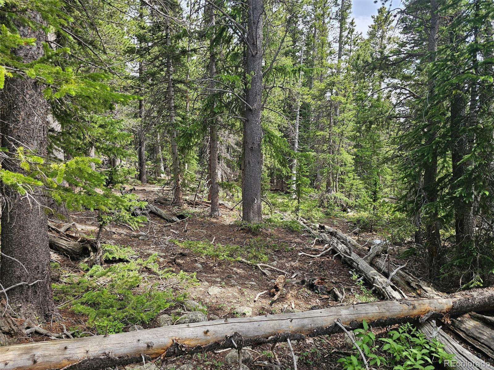 316 Gold Trail